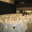 IMG_0833.jpg